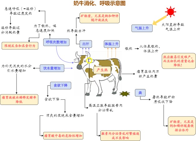 奶牛消化、呼吸示意图完整模板预览