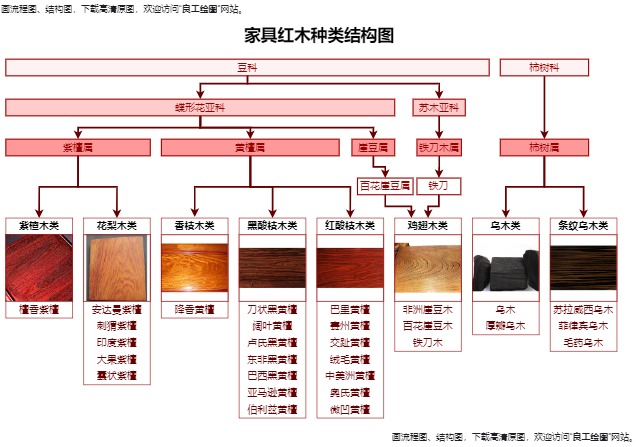 家具红木种类结构图完整模板预览
