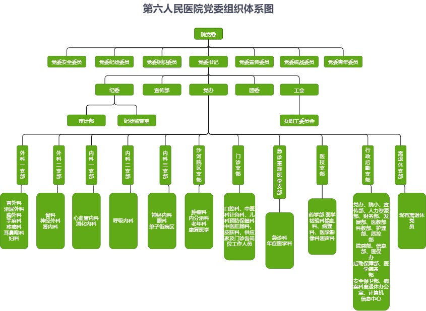 医院党委组织体系图模板（点击直接编辑）