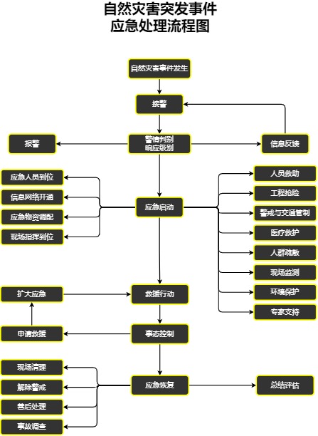 自然灾害突发应急处理流程模板预览