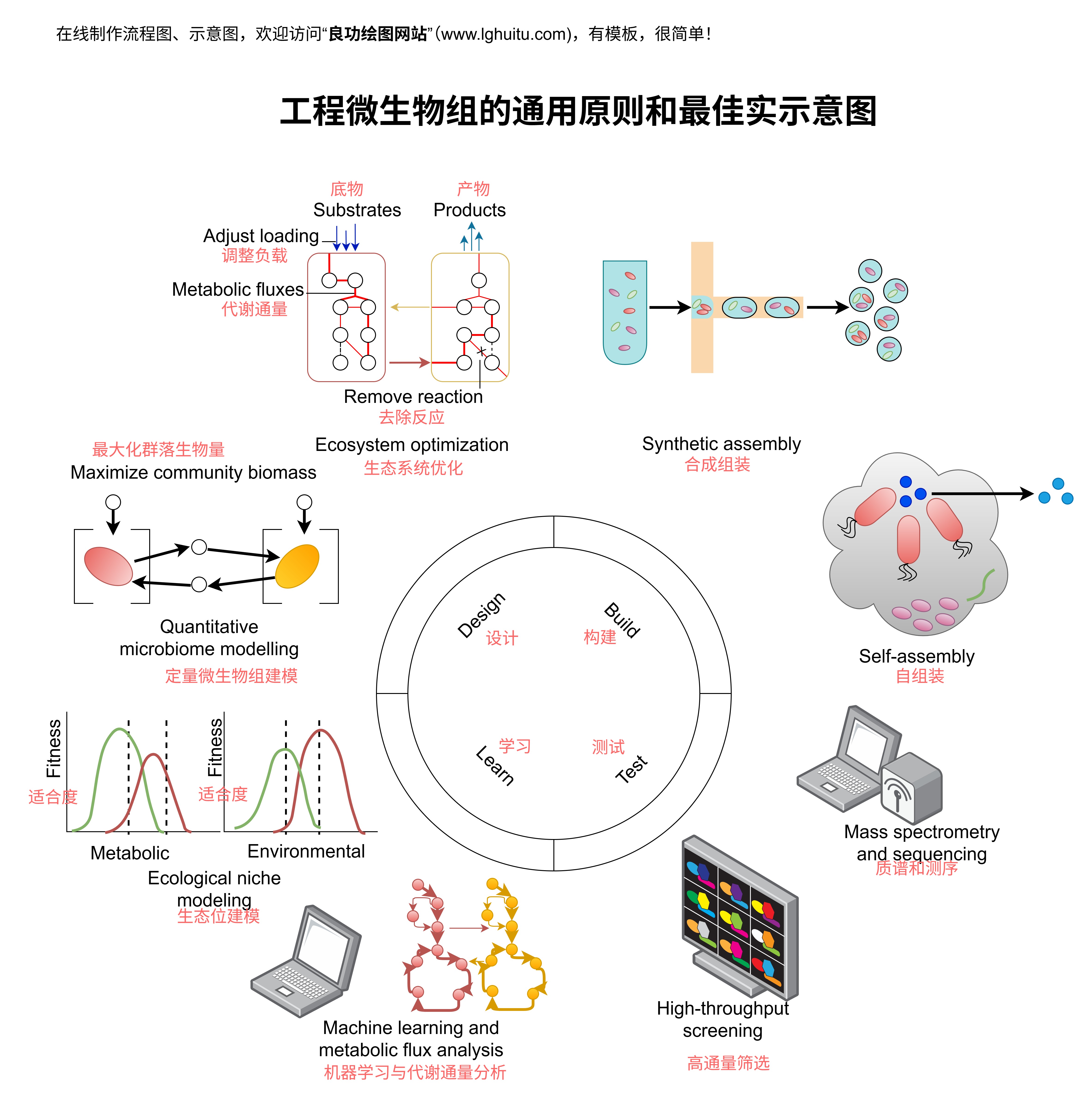 工程微生物组