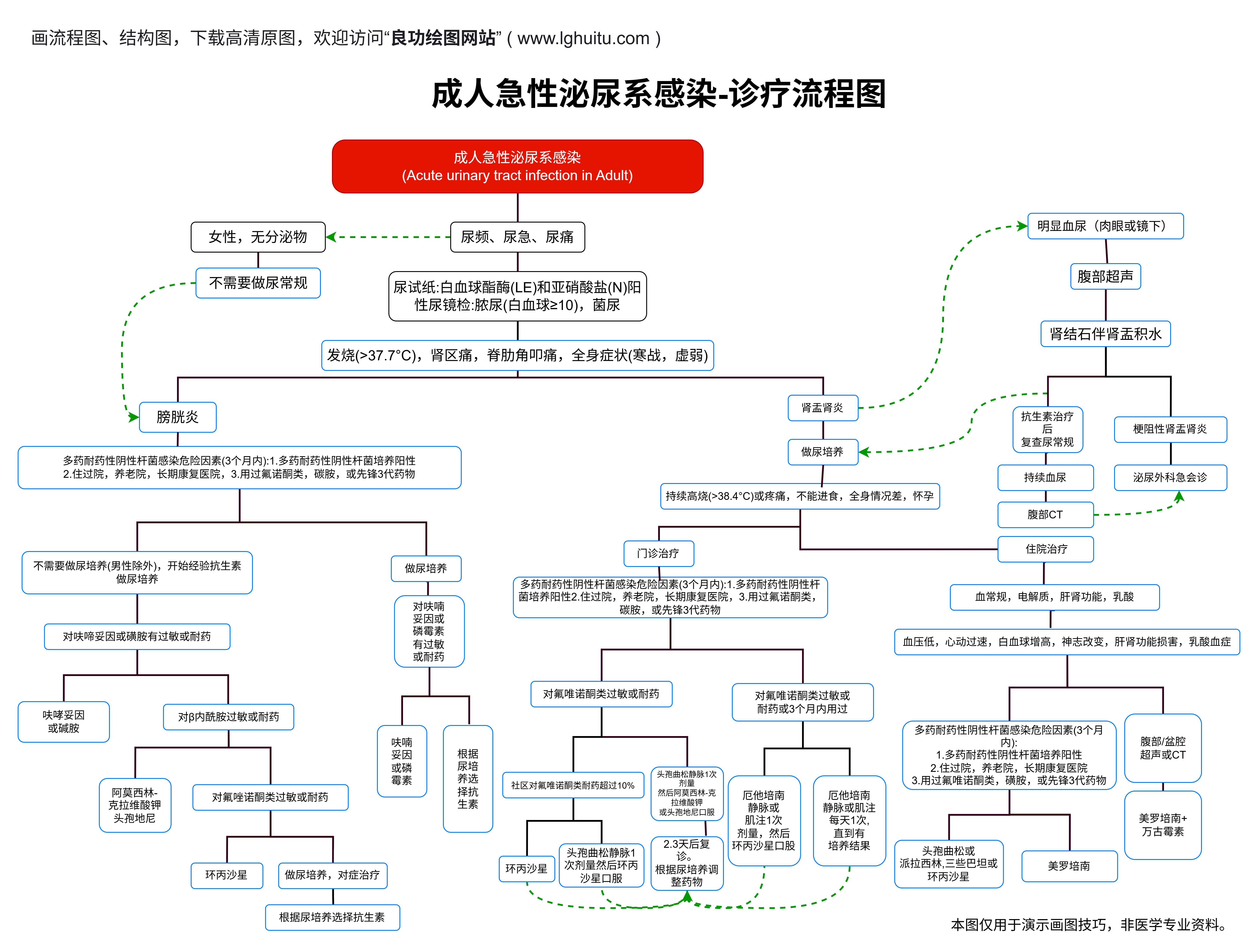 泌尿系统感染诊疗流程图