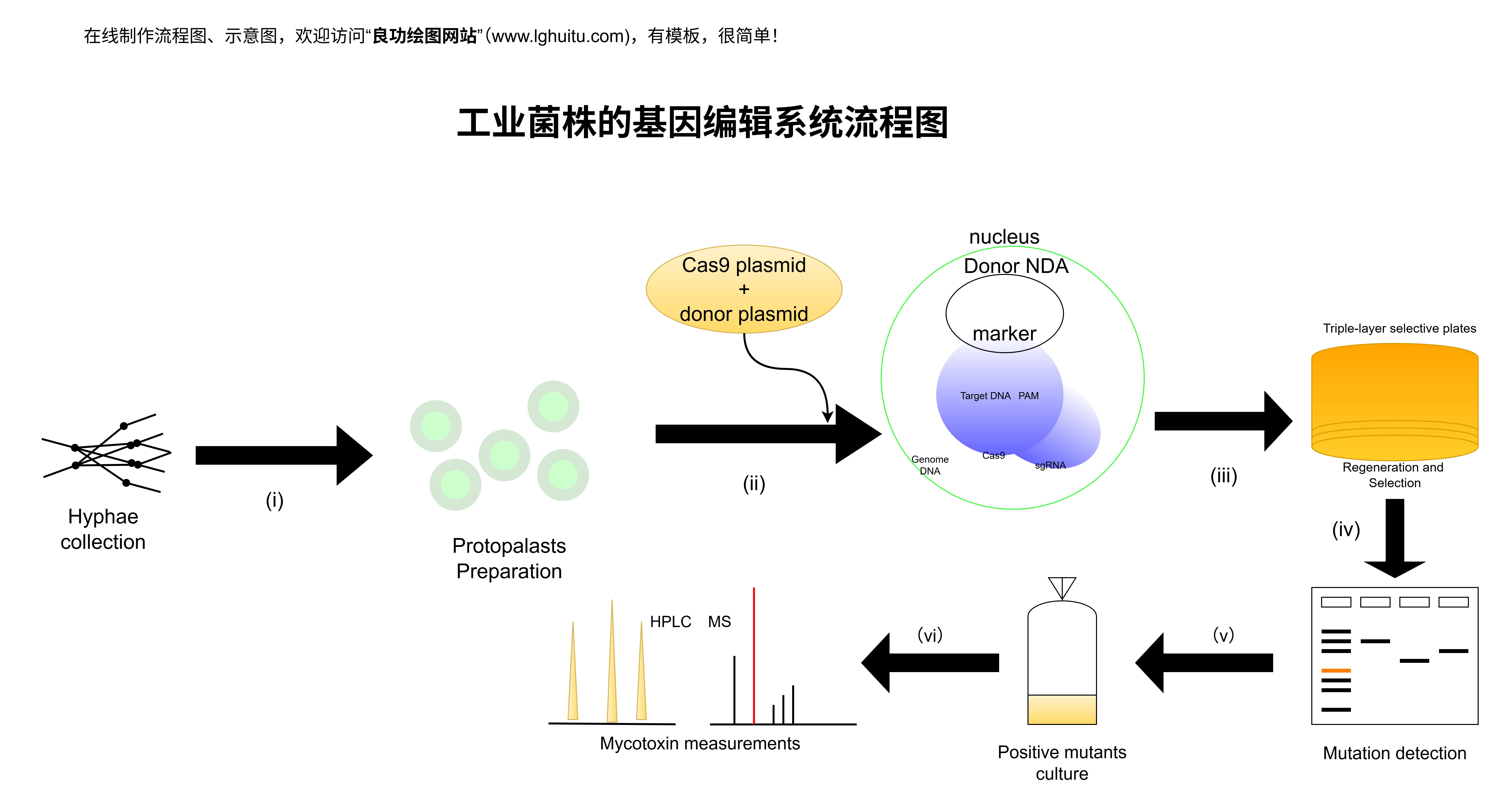 论文图例、报告配图、论文插图、科研论文配图、课题技术路线图