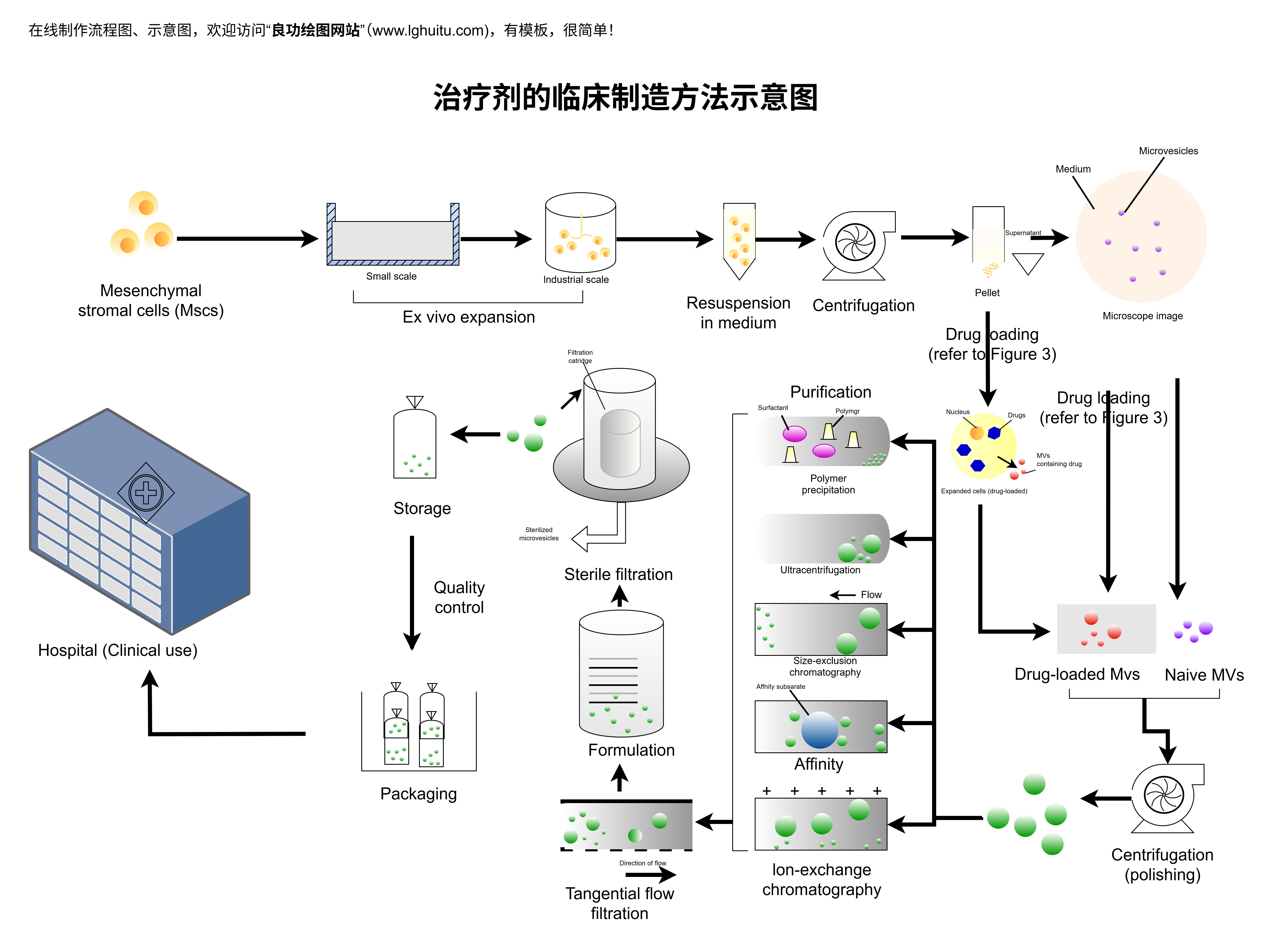 论文图例、报告配图、论文插图、科研论文配图、课题技术路线图