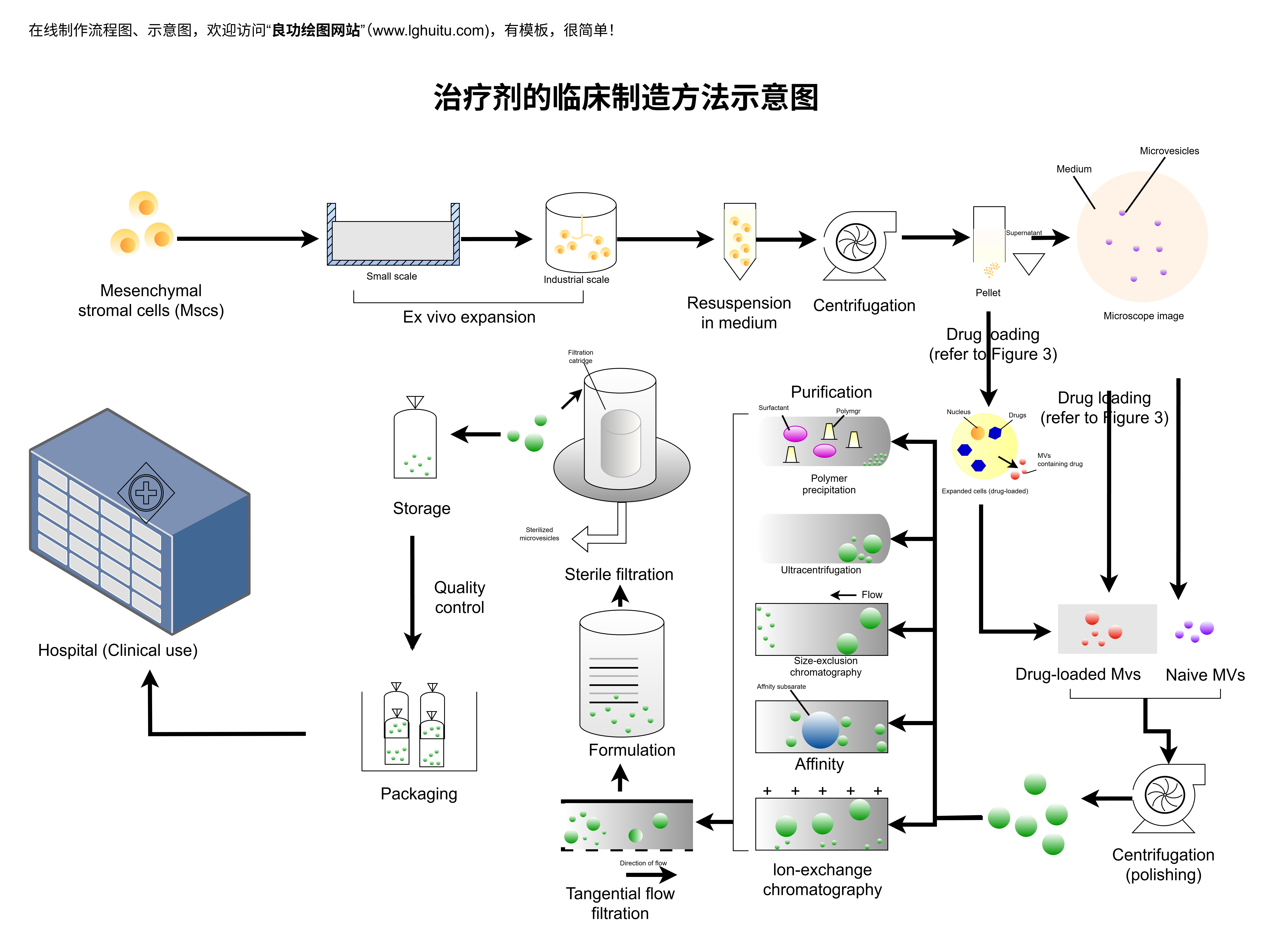 治疗剂临床制造方法